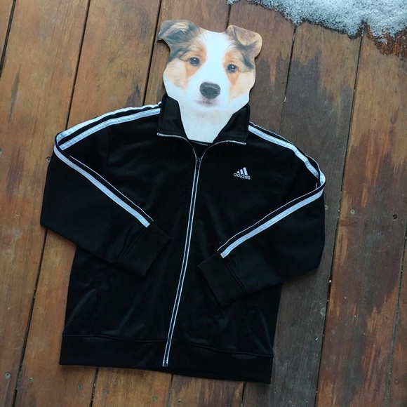 adidas jacket dog